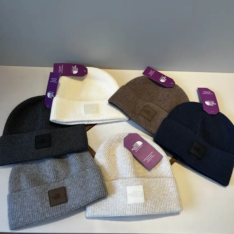 25 The North Face hat 1124